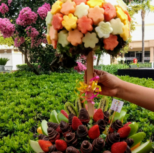 Topiario de Estrellas: Exquisitas estrellas, flores o corazones de piña miel, melón cantaloupe, melón valenciano y  sandía, con centros de uva seleccionada y fresas; sobre una base de fresas con chocolate europeo que puede ser blanco, de leche o semi amargo. (Se muestra la presentación "Chocolate") :: Petalos, el dulce bouquet de frutas